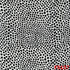 Animal Print Crepe Fabric - F5157